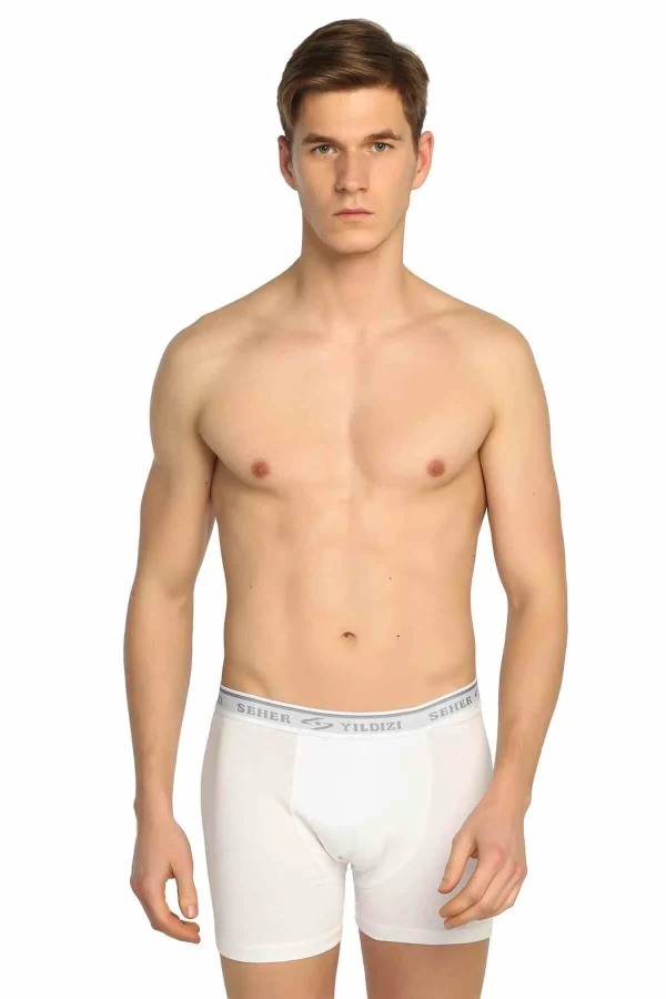 0060 SEHER ERKEK  LİKRALI BOXER